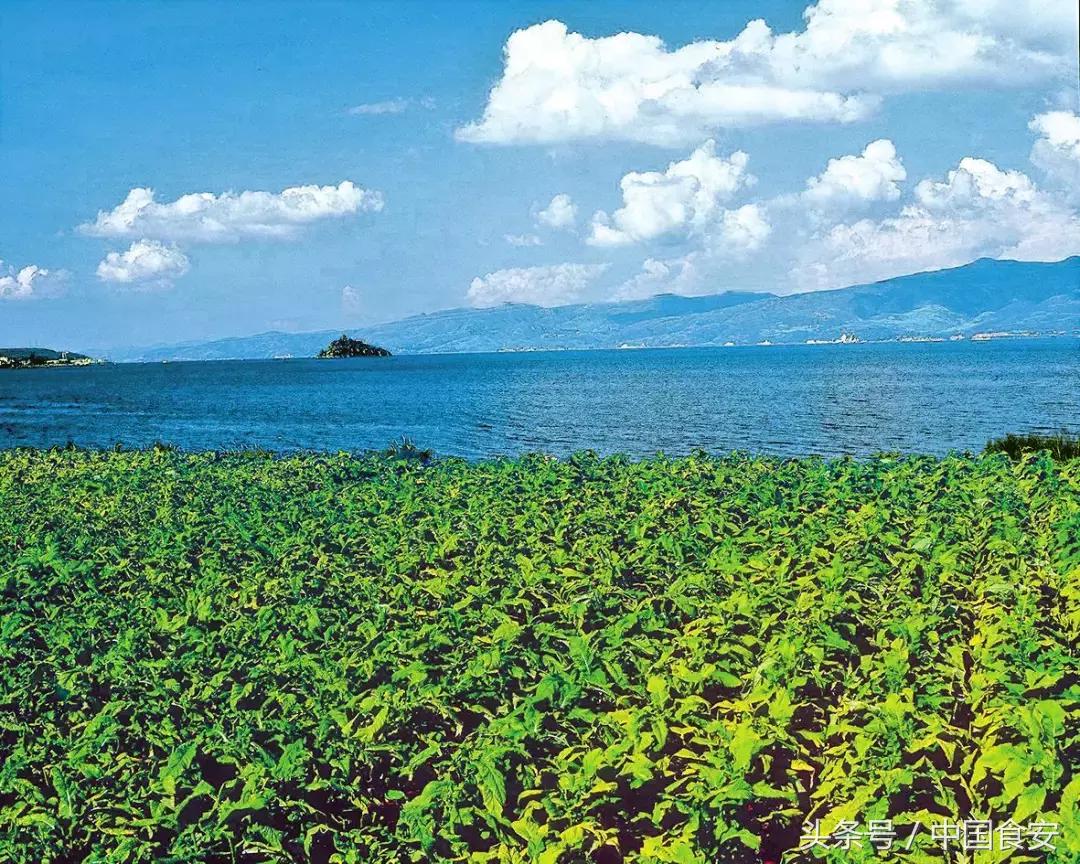 中国民营企业改革开放四十年纪事,改革开放40年中国企业家的激荡史