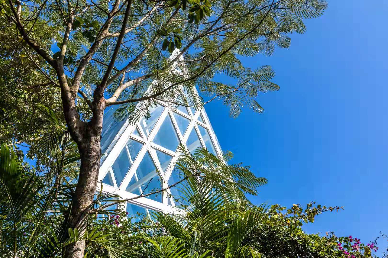 海南足球游记：摄影师眼中的非典型三亚