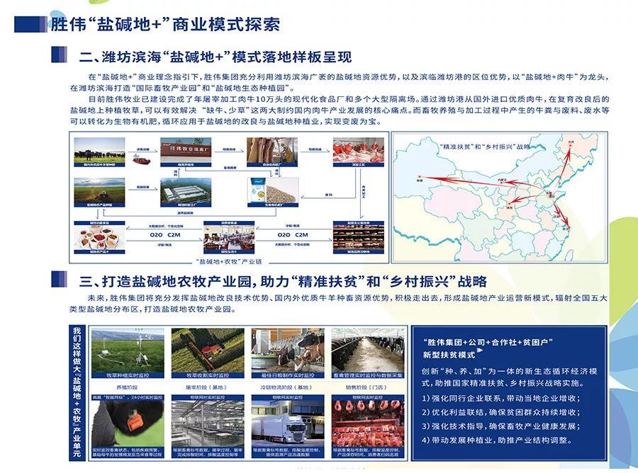 养牛技术大全养啥牛值钱,养牛技术高产饲料有哪些