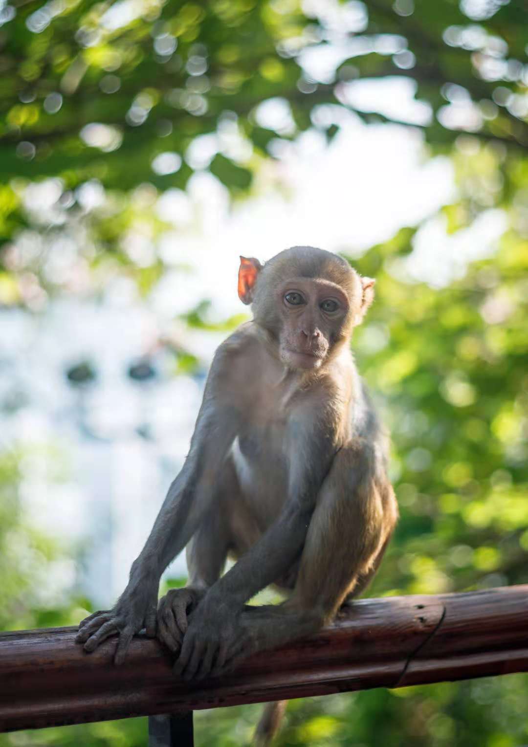 海南足球游记：摄影师眼中的非典型三亚
