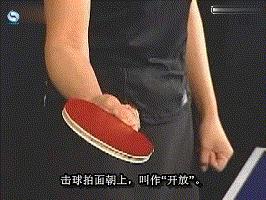 乒乓球基础知识学习,乒乓球新手必须掌握的几种旋转