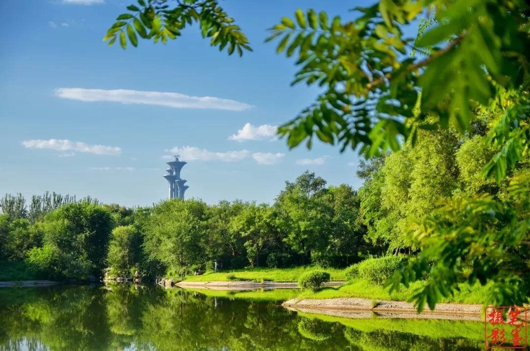 刚刚发布，重磅消息！大快人心！
