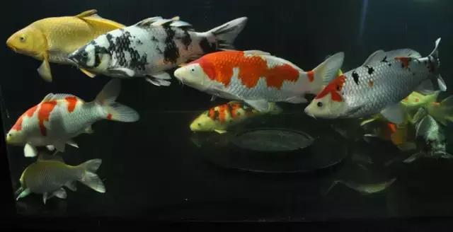 风水名师讲风水,与不信风水的人讲风水