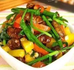 冬季养生第一秘药,中医经典道出冬季养生的奥秘