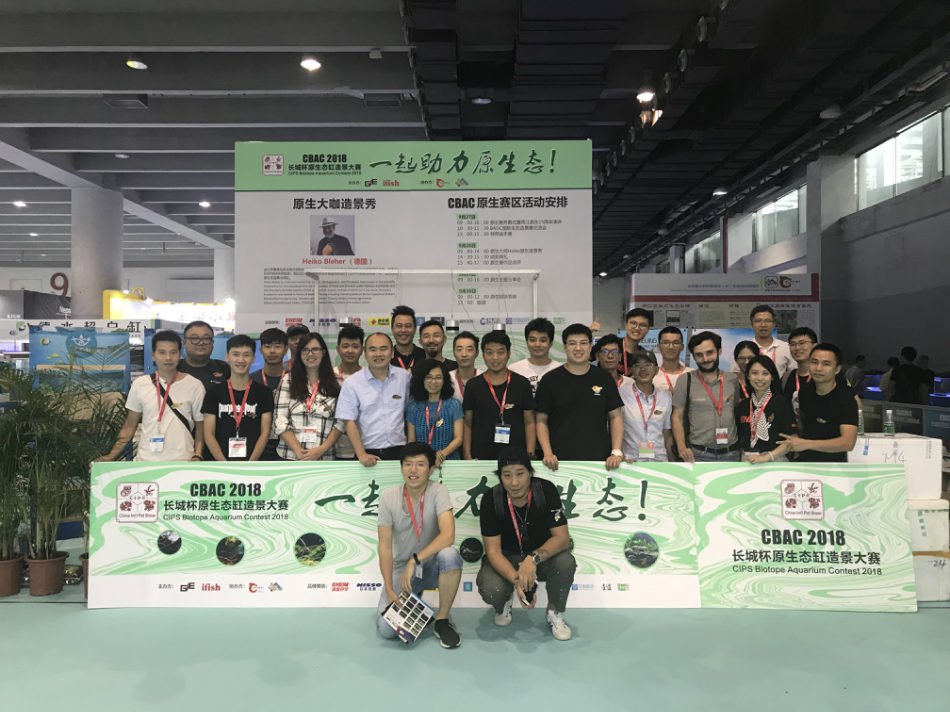 长城杯溪流造景大赛,长城杯造景大赛