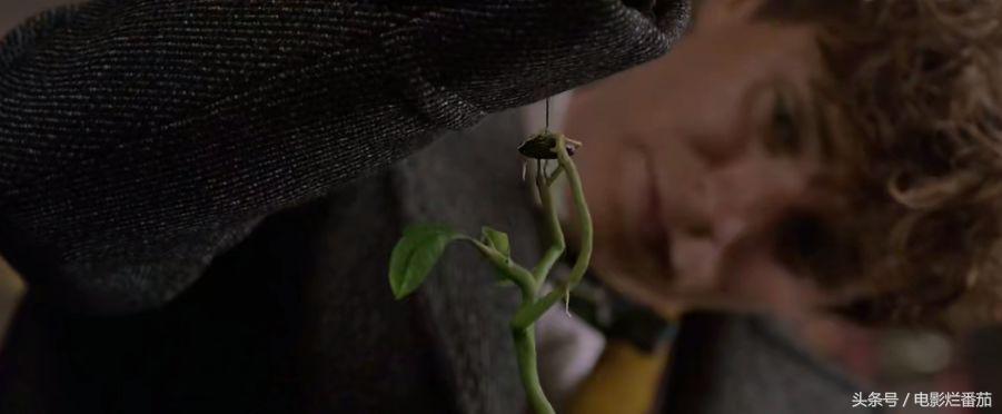 十一月这份片单,我敲锣打鼓的告诉你