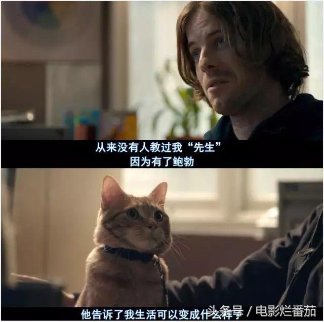 十一月这份片单,我敲锣打鼓的告诉你