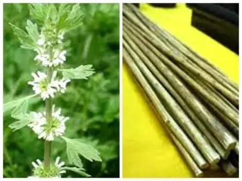 凶吉抽签,一般占卜都会占卜什么问题呀