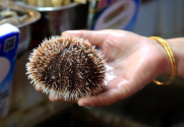 闺蜜的看海之旅，三亚自由行攻略