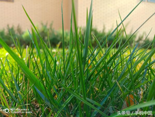 努比亚x星空典藏版双屏交互,努比亚x试玩