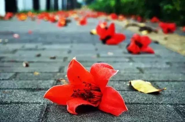 深圳向世界发出邀请,向世界推介深圳