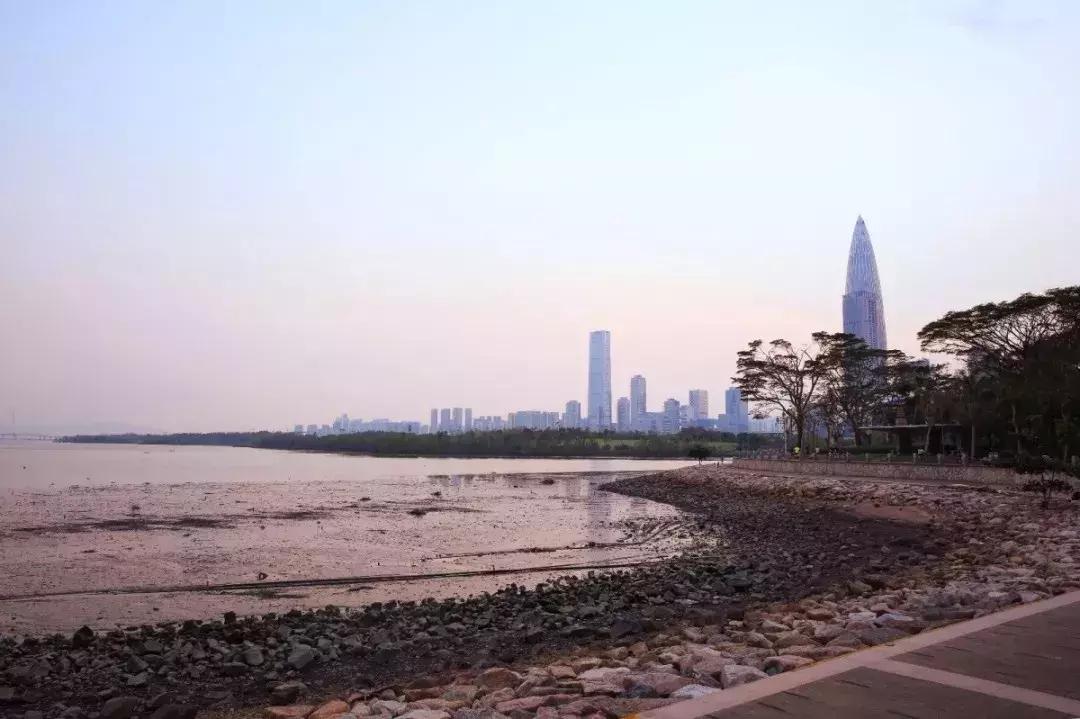 深圳向世界发出邀请,向世界推介深圳