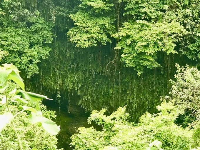 海口的特色美食有哪些,海口有哪些特色美食