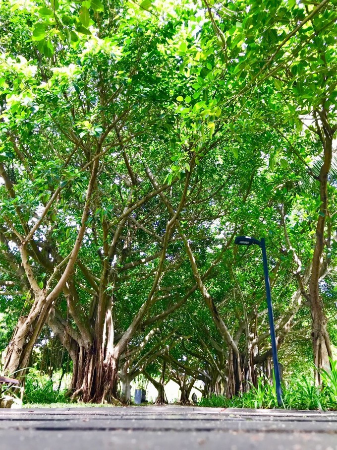 海口的特色美食有哪些,海口有哪些特色美食