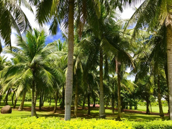 海口的特色美食有哪些,海口有哪些特色美食
