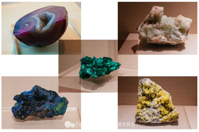 鑵惧啿鐏北鐑捣鏅尯闂ㄧエ缃戜笂璐エ,浜戝崡鑵惧啿鐑捣鏅尯