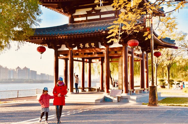 秋到上阳宫，黄叶蓝天高宫阙，皇帝都赞的美景，免费你都没去看？