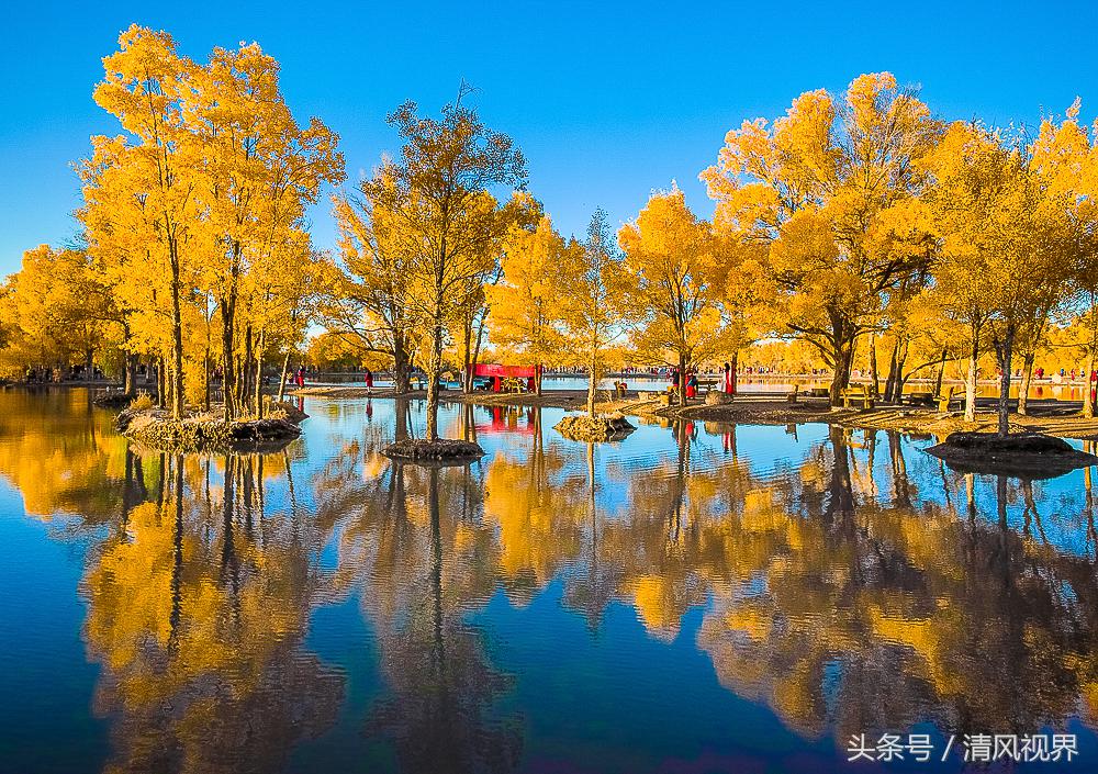 三千年守候额济纳完整版,大美金塔胡杨林