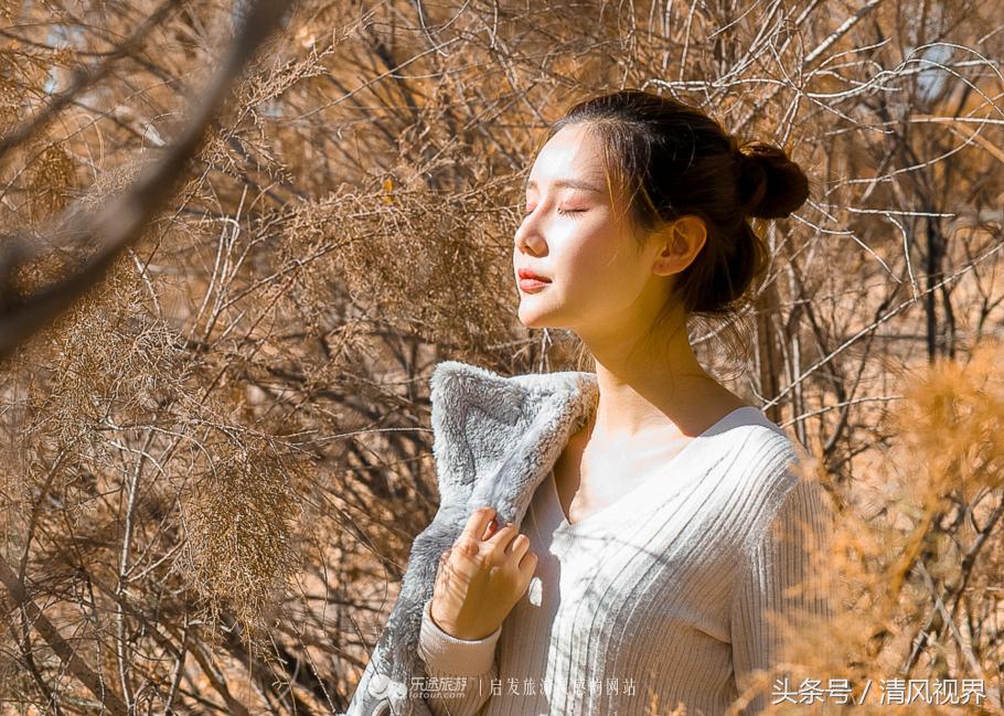 千年的等待纯音乐,金塔胡杨林美照