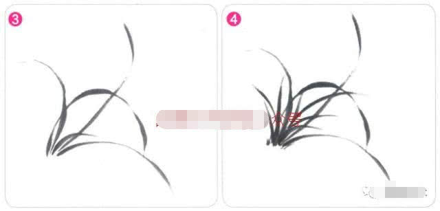 写意兰花的基本画法视频,写意兰花的画法技法视频