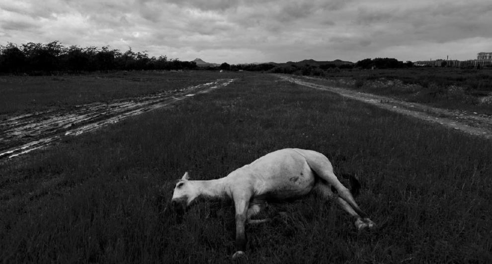 10月19日的低点是不是“底”