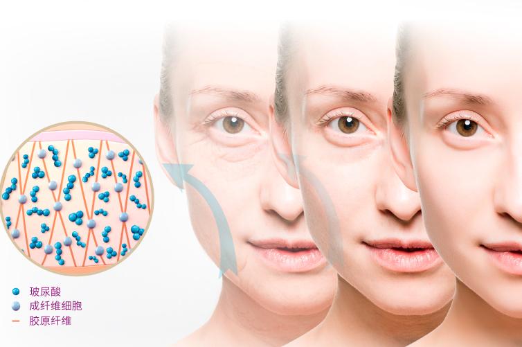 德国胶原蛋白肽原液口服液,德国水解胶原蛋白小分子口服液