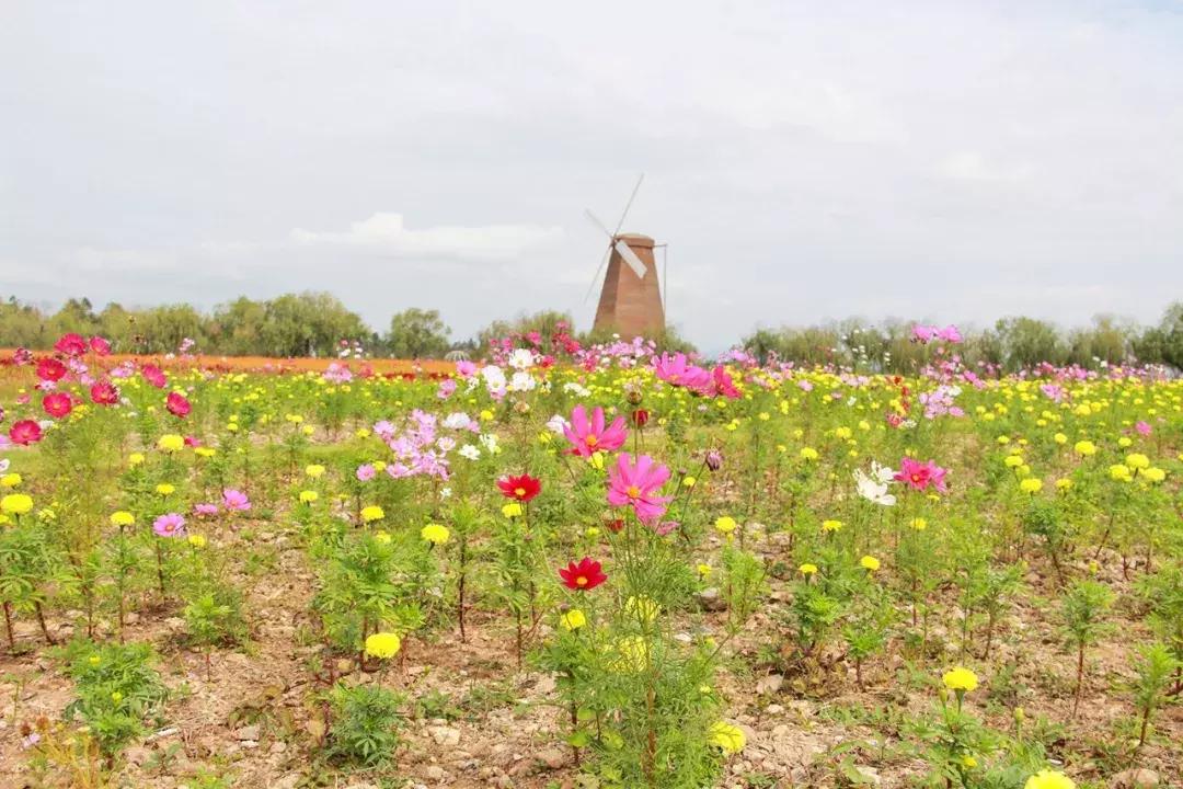 娴欐睙鍙板窞瀹濊棌鐢峰,鍙板窞瀹濊棌鐢风敓