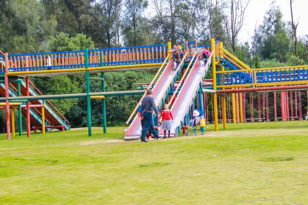 娴欐睙鍙板窞瀹濊棌鐢峰,鍙板窞瀹濊棌鐢风敓