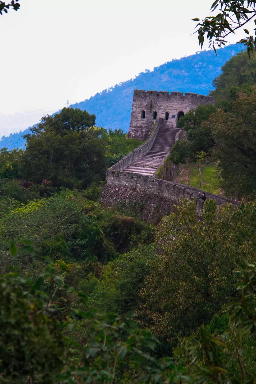 娴欐睙鍙板窞瀹濊棌鐢峰,鍙板窞瀹濊棌鐢风敓
