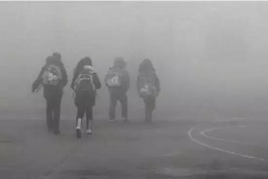 赴美生子孩子长大后能一起移民吗,赴美生子移民