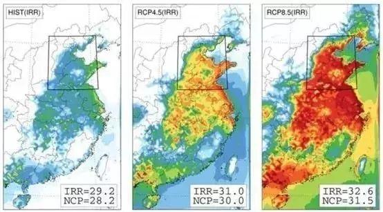 赴美生子孩子长大后能一起移民吗,赴美生子移民