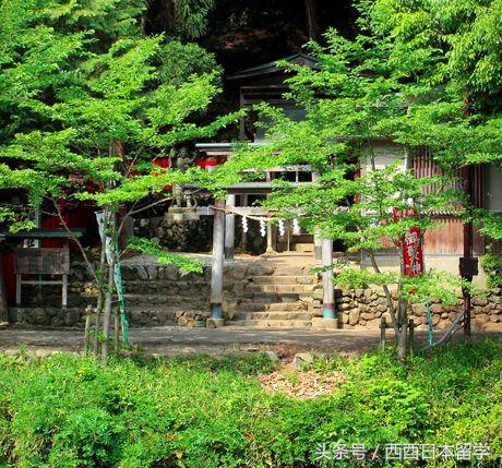 现在90后00后最需要的是什么,90后的你需要什么