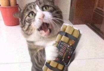 一个区块怎么生存下去,一个区块生存条件