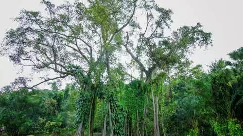 洛阳旅游景点特价门票,近期特价门票免费景点