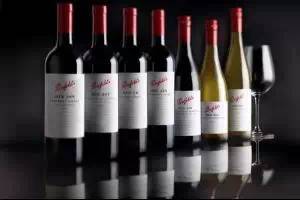 怒！名牌专坑中国游客？正品应该这样买！