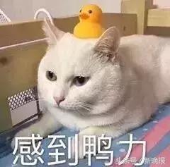 30批次化妆品不合格,20批次化妆品不合格都有什么