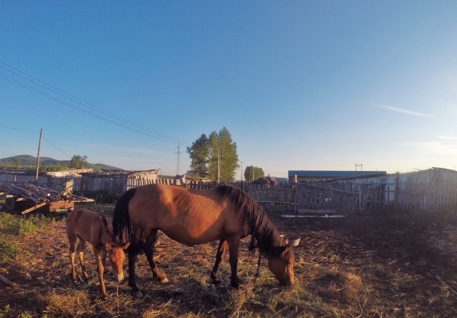 国内8个小众旅行地,十一小众冷门旅行地推荐