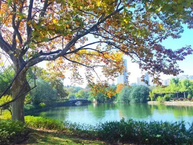 红蓝绿黑你喜欢什么色,红绿蓝清新配色