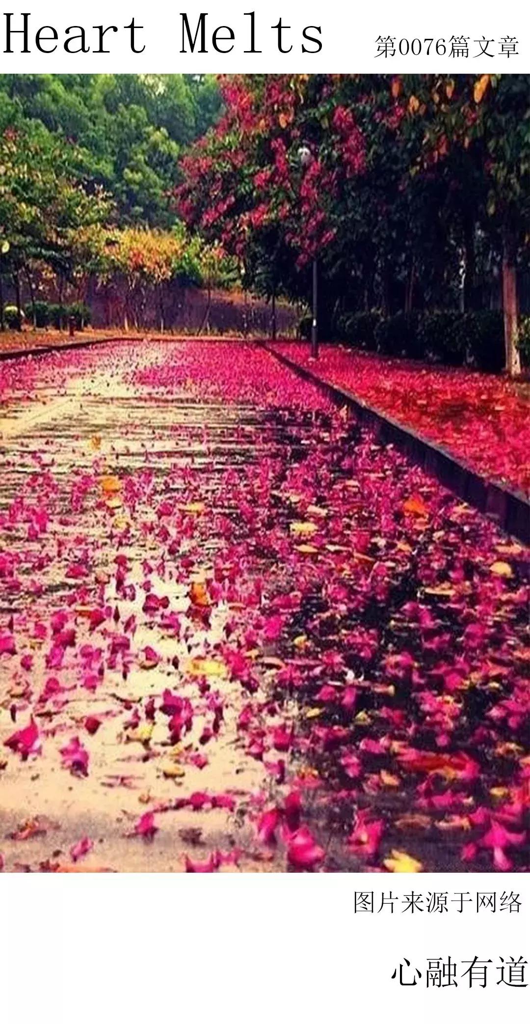 拿什么安慰我？失恋女生不要渣男的“康福特”