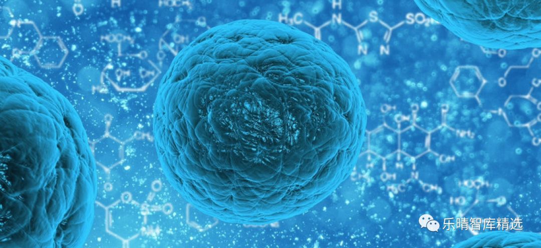 贝伐珠单抗医保目录,贝林妥欧单抗进入医保目录吗