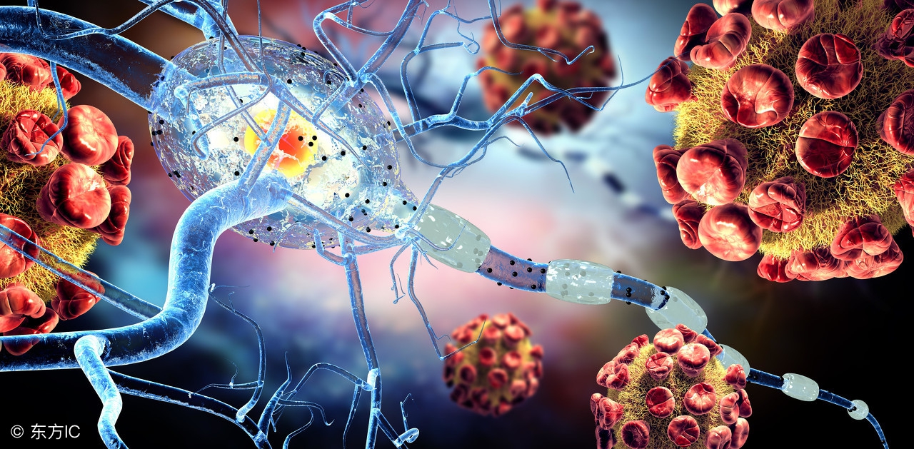 标靶药的毒性,标靶药吃下去多久见效