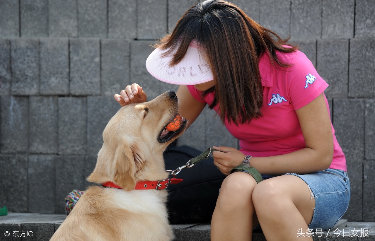买了星期狗如何维权,女子买到星期狗被店家威胁