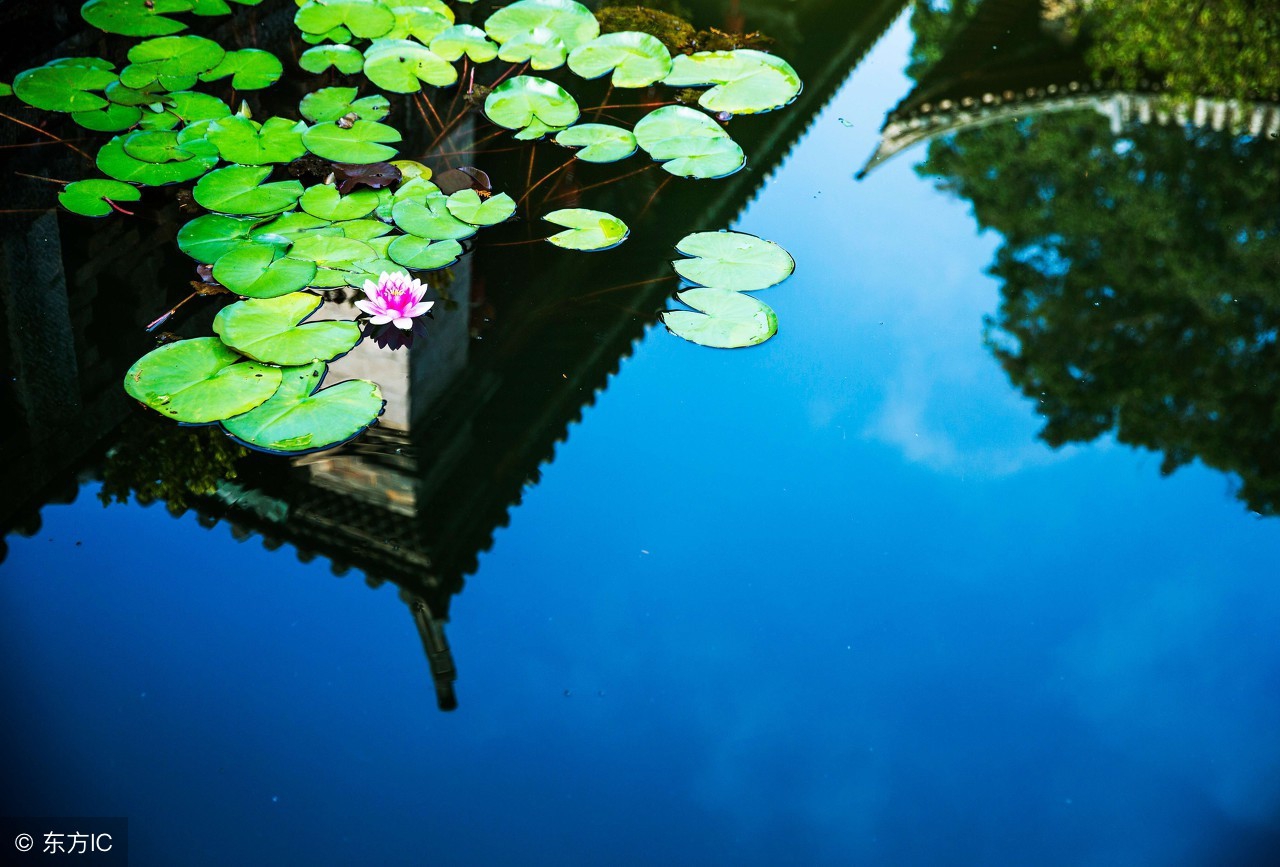 林清玄的适合中学生读的十篇散文,林清玄最好的十篇散文适合中学生