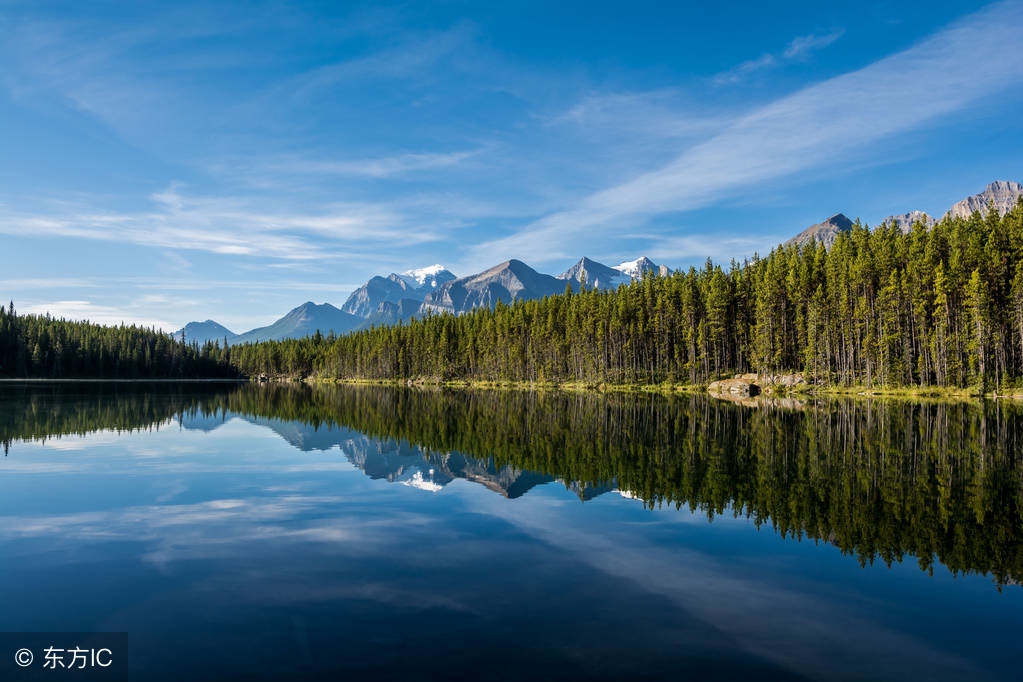 太原动物园扩建后怎么样,太原动物园二期扩建场地