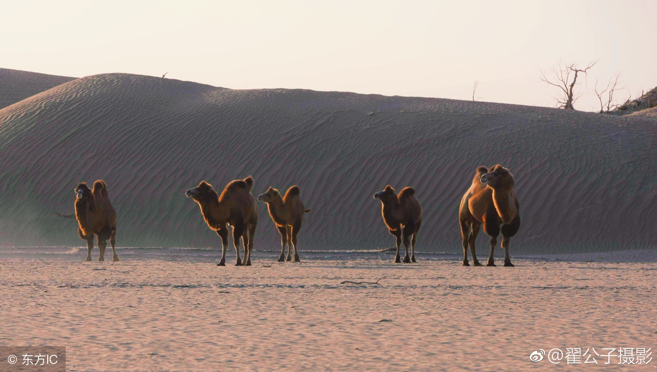 绝文,绝字的繁体字