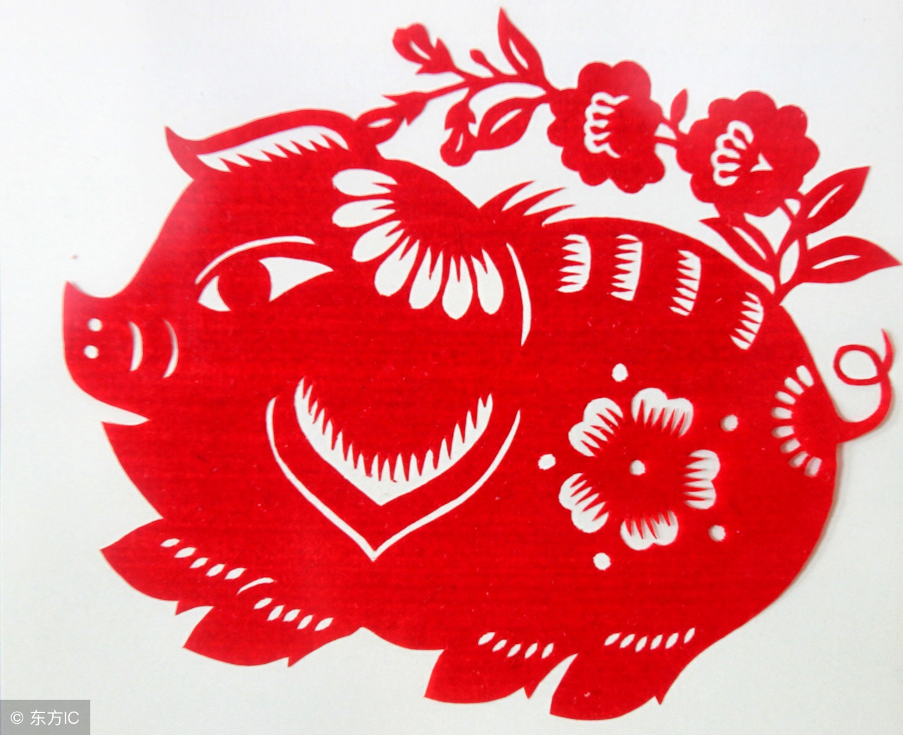 2019十二生肖运势排行,十二生肖2019年运势排行榜