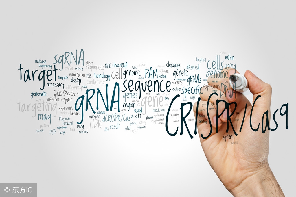 有1000粉丝如何裂变,微信群裂变吸引人的方法