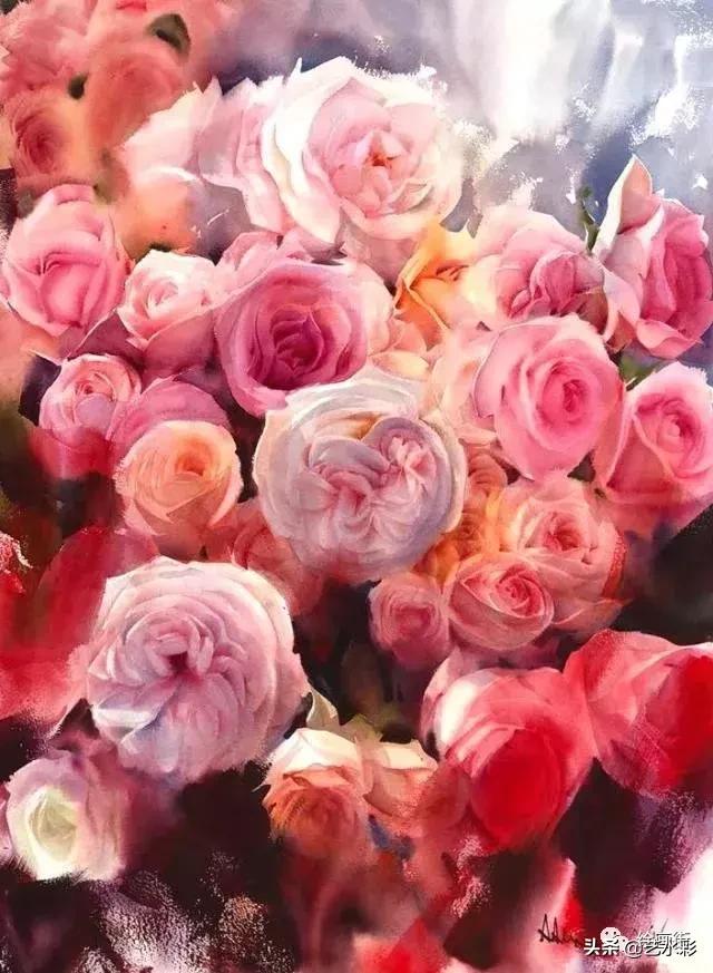 花卉钢笔画临摹简单100图,100份白描花卉的临摹素材