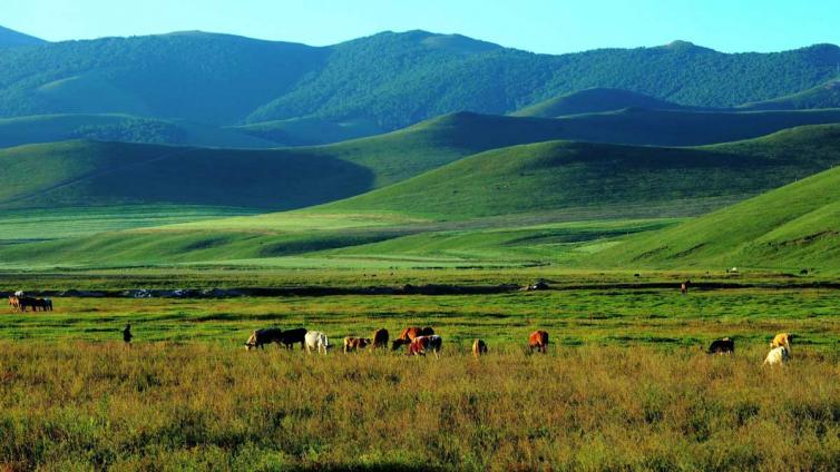 天津滨海新区亲子游玩好去处,天津五一亲子一日游