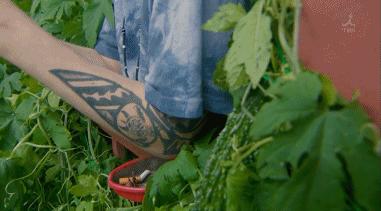 9.4分本季最佳，甩掉假装深情的渣男才解气